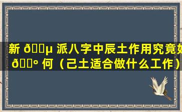 新 🐵 派八字中辰土作用究竟如 🌺 何（己土适合做什么工作）